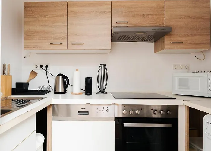 Spacious Austrian Style Close To Center Landstrasse Apartment