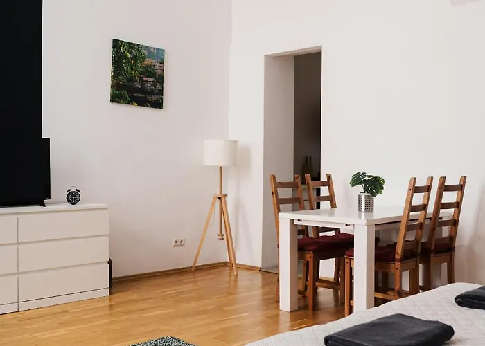 Spacious Austrian Style Close To Center Landstrasse Apartment *